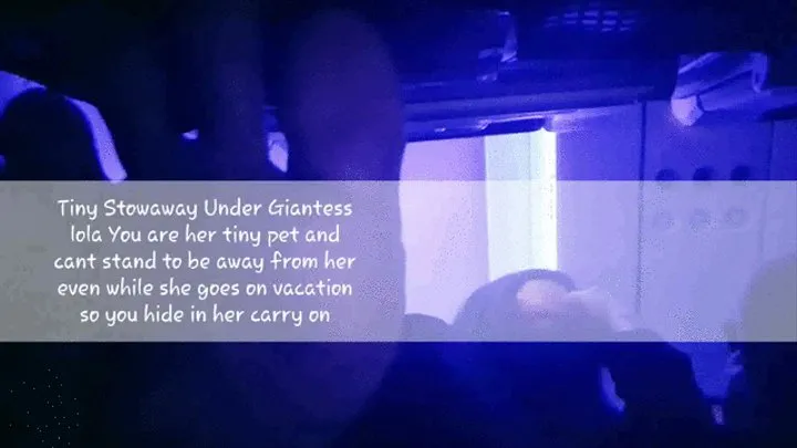 Tiny Stowaway Under Giantesslola You are her tiny pet and cant stand to be away from her even while she goes on vacationso you hide in her carry on