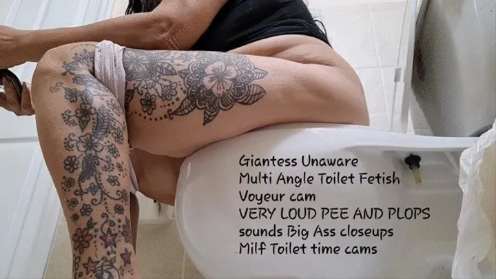 Giantess Unaware Multi Angle Toilet Fetish Voyeur cam first a fart then VERY LOUD PEE AND PLOPS sounds Big Ass closeups Milf Toilet time cams