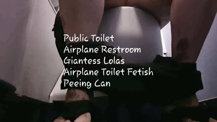 Public Toilet Airplane Restroom Giantess Lolas Airplane Toilet Fetish Peeing Cam