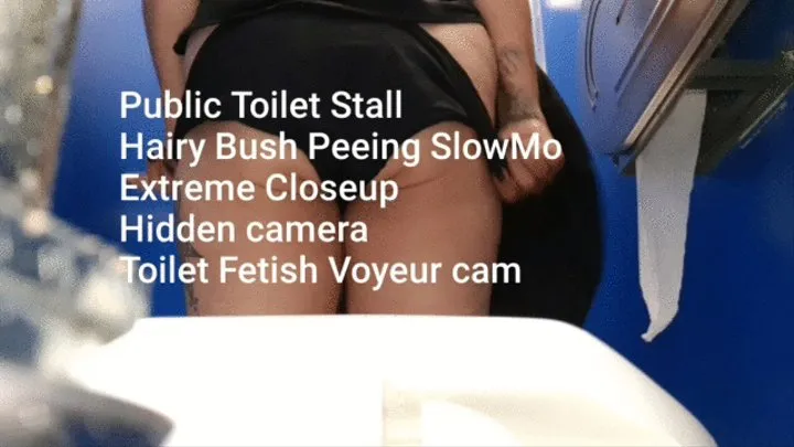 Public Toilet Stall Suatting Piss Hairy Bush Peeing SlowMo Extreme Closeup Toilet Fetish Voyeur cam