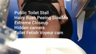 Public Toilet Stall Suatting Piss Hairy Bush Peeing SlowMo Extreme Closeup Toilet Fetish Voyeur cam