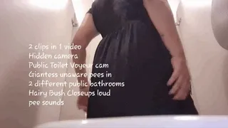 2 clips in 1 video Public Toilet Voyeur cam Giantess unaware pees in 2 different public bathrooms Hairy Bush Closeups loud pee sounds