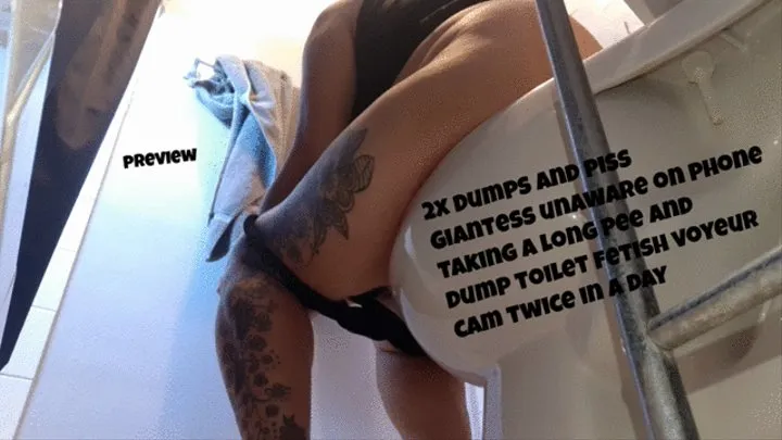 2x dumps and piss Giantess unaware on phone taking a long pee and dump toilet fetish voyeur cam twice in a day mkv