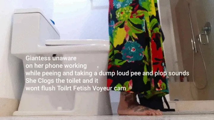 Giantess unaware on her phone working while peeing and taking a dump loud pee and plop sounds She Clogs the toilet and it wont flush Toilet Fetish Voyeur cam