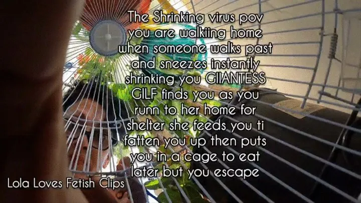 The Shrinking virus pov you are walkiing home when someone walks past and sneezes instantly shrinking you GIIANTESS GILF finds you as you runn to her home for shelter she feeds you ti fatten you up then puts you in a cage to eat later but you escape