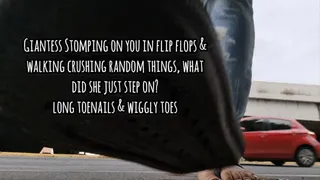 Giantess Stomping on you in flip flops & walking crushing random things, what did she just step on? long toenails & wiggly toes