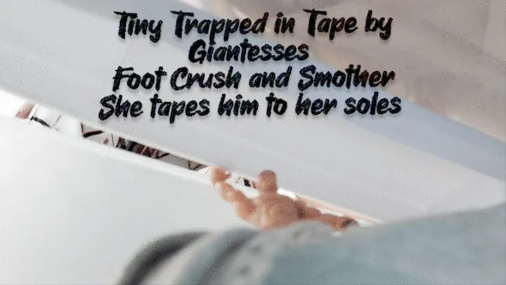 Tiny Trapped in Tape by Giantesses Foot Crush and Smother She tapes him to her soles