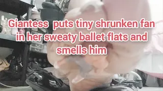 Giantess puts tiny shrunken fan in her sweaty ballet flats and smells him