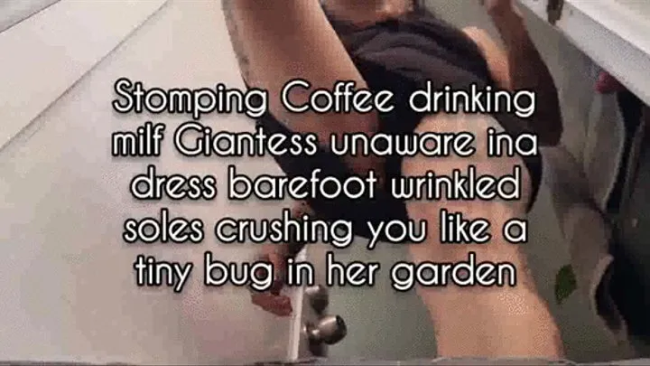 Mkv Stomping Coffee drinking milf Giantess unaware ina dress barefoot wrinkled soles crushing you like a tiny bug in her garden