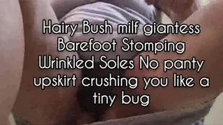 Mkv Hairy Bush milf giantess Barefoot Stomping Wrinkled Soles No panty upskirt crushing you like a tiny bug