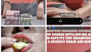 Giantess unaware Crunchy Vore & House Butt Crush Giantess Unaware Crushes tiny houses with her big ass and eats its tiny inhabitants as a crunchy snack and burps