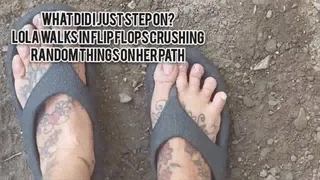 WHAT DID I JUST STEP ON? LOLA WALKS IN FLIP FLOPS CRUSHING RANDOM THINGS ON HER PATH mkv