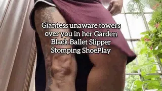 Giantess unaware towers over you in her Garden Black Ballet Slipper Stomping ShoePlay mjv