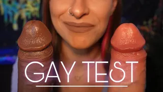 Gay Test