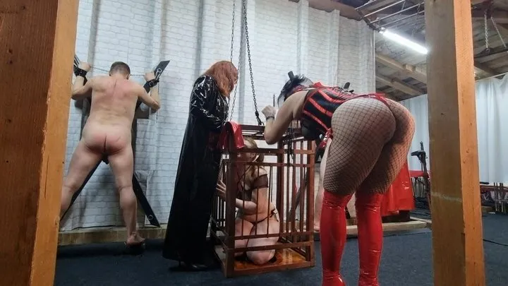 Blackcat and new bull in training - triple whipping session with 3 slaves