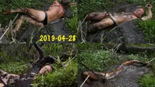 A Perilous Plight in Peat, 2019-04-28