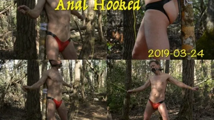 Anal Hooked, 2019-03-24