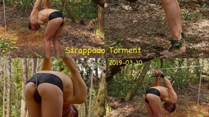 Strappado Torment, 2019-03-10