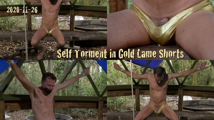 Self Torment in Gold Lame Shorts, 2020-11-26