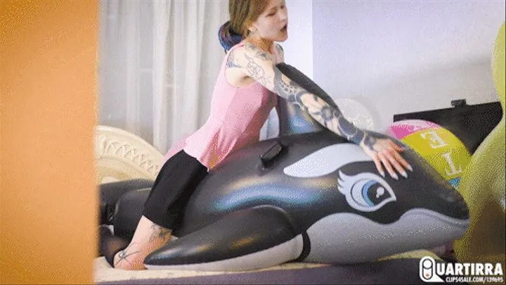 Q49 Lilu watches Ava having fun with black Orca and joins her