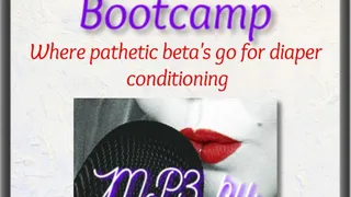 Diaper Beta Bootcamp
