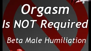 Your Orgasm is Not Required | Beta Male Humiliation