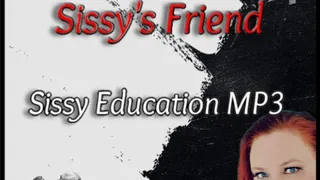 Glory Holes are a Sissy's Friend - Sissy Education MP3