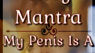 My Penis Is A Clit - Sissy ASMR Mantras