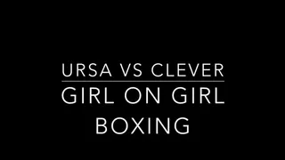 Clever vs Ursa Boxing