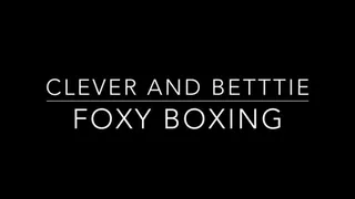 Foxy Boxing with Clever and Bettie