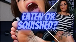 Eaten Or Squished?