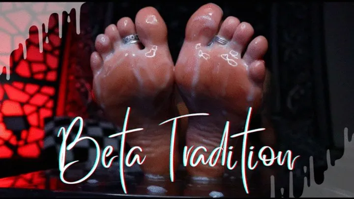 Beta Tradition