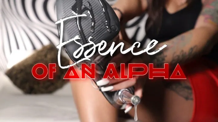 Essence Of An Alpha