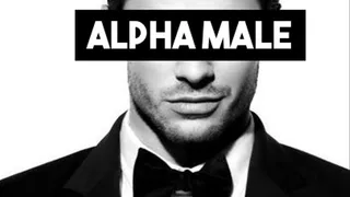 Alpha Male