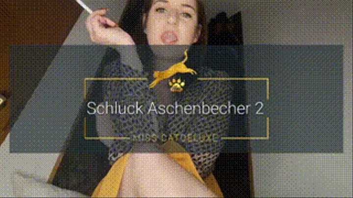 Schluck Aschenbecher 2