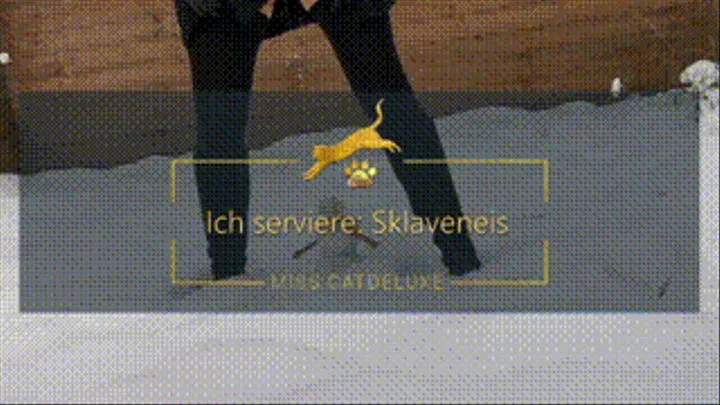 Ich serviere: Sklaveneis