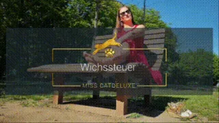 Wichssteuer