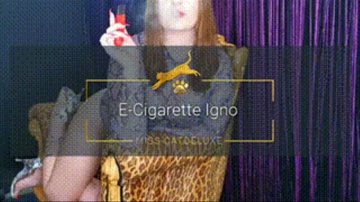 E-Cigarette Igno