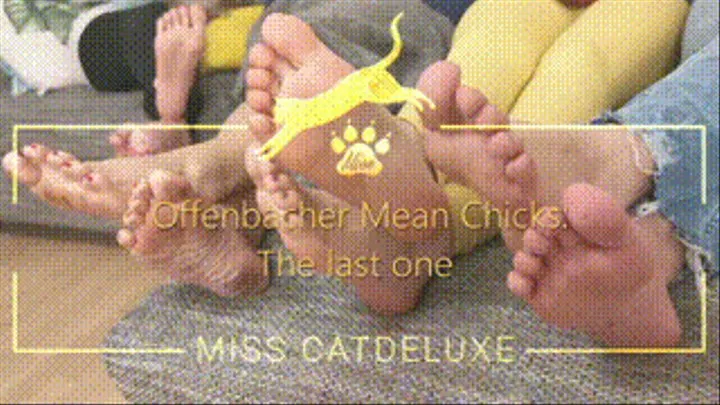 Offenbacher Mean Chicks: The last one