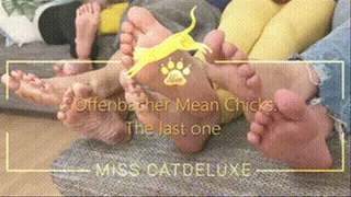 Offenbacher Mean Chicks: The last one
