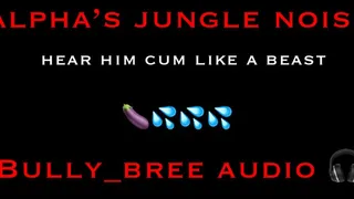 Alpha's Jungle Noise Audio