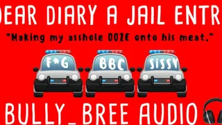 Dear Diary (A Jail Entry)