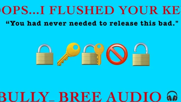 Oops I Flushed Your Key Audio