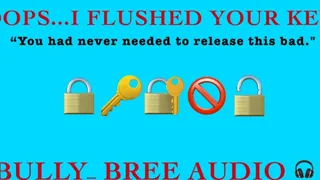 Oops I Flushed Your Key Audio