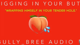 Digging In Your Butt Audio