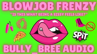 Blowjob Frenzy Audio