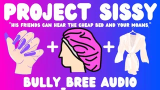 Project Sissy Audio