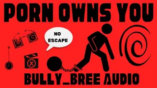 Porn Owns You Audio