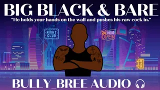 Big Black & Bare Audio