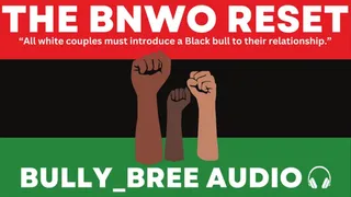 BNWO The Reset Audio